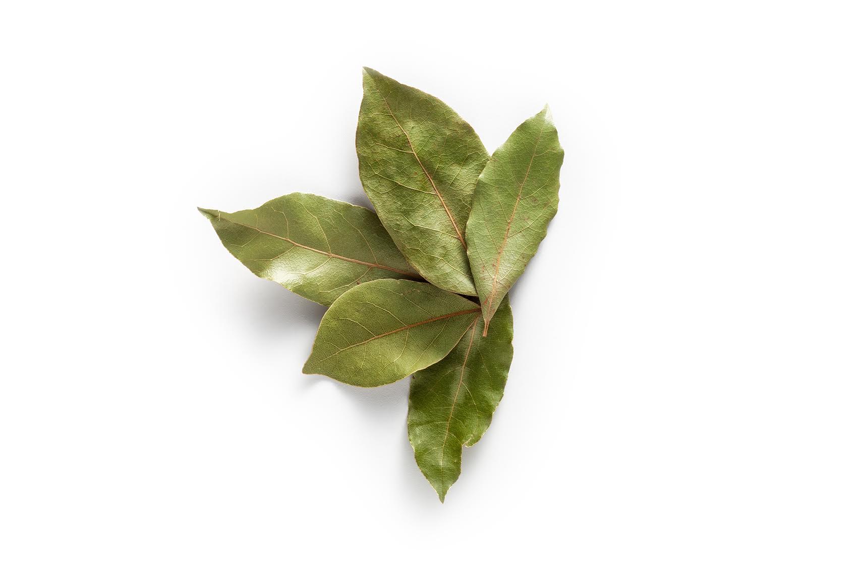 Laurel Leaves  Uyar Spice  Herbs and Spices, seeds, oregano, thyme, laurel leaves, rosemary